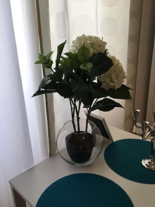 Apartment 1 Center كويمبرا المظهر الخارجي الصورة